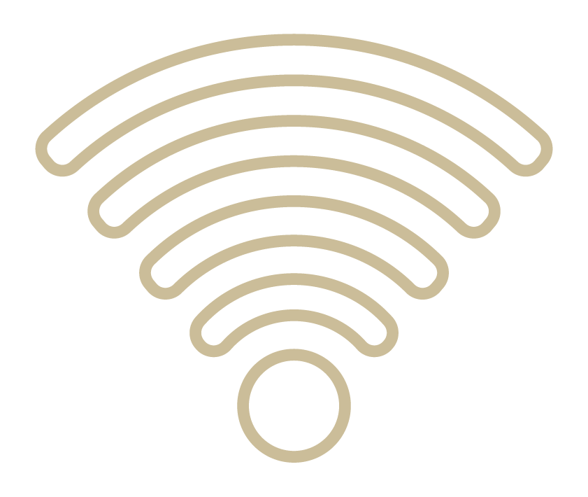 Icon Ausstattung Wifi